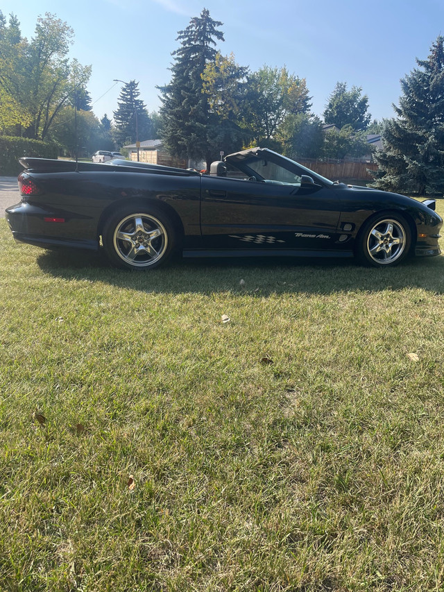 1999 Trans am  in Classic Cars in Calgary - Image 2