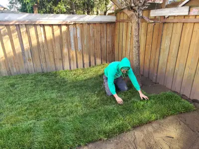 Looking for a lush, green lawn? Green Warriors is here to help! We are a reputable landscaping compa...
