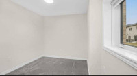 2 bedroom 1 bathroom walkout basement available for rent 