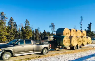 Total Grass Hay Sales, View more