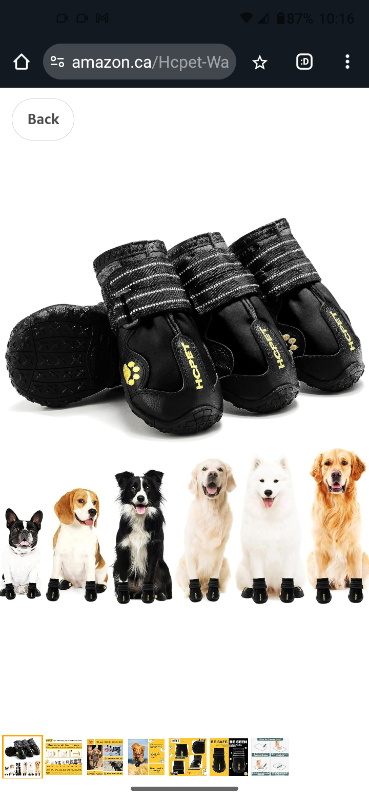 Brand new Hcpet all weather dog boots size 6., View more