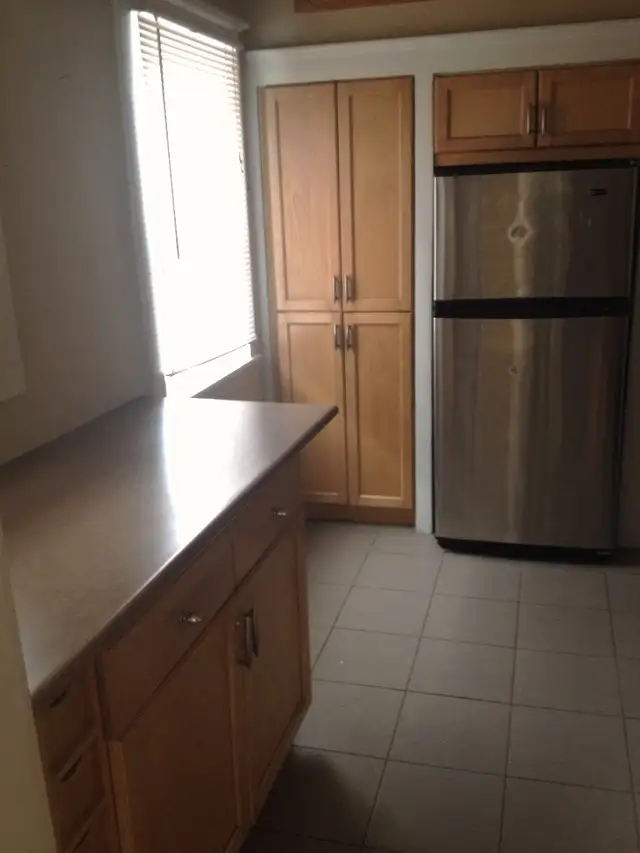 Quiet Full Main Floor in House - Danforth and Woodbine in Long Term Rentals in City of Toronto - Image 6