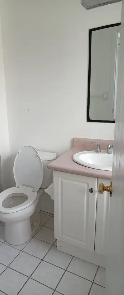 "January Cleaning Special!"  Just Bathrooms Starting from $39.99, View more