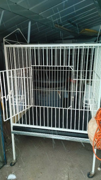 Big bird cage