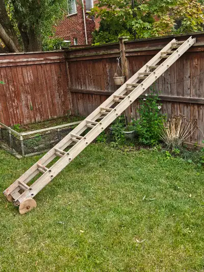 All are in excellent condition, despite some paint and dirt on them. 24' extension ladder, $125, 2,...