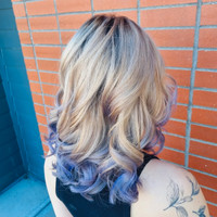 Licensed Red Seal Hairstylist with over 14 years experience 