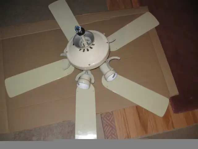 ventilateur de plafond 5 palmes 4 lumières in Cabinets & Countertops in Longueuil / South Shore - Image 2