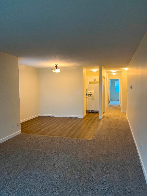 2 Bedroom Apartment for Rent in Long Term Rentals in Campbell River - Image 3
