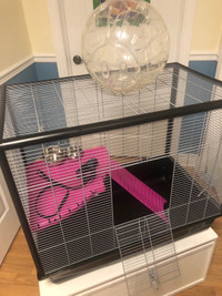 Grande cage à rat