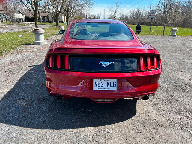 Ford Mustang 2015 Ecoboost Rouge Bas Millage dans Autos et camions  à Ouest de l’Île - Image 4