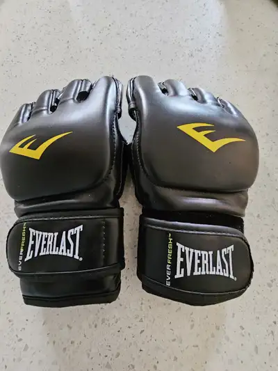 Everlast MMA Gloves, View more