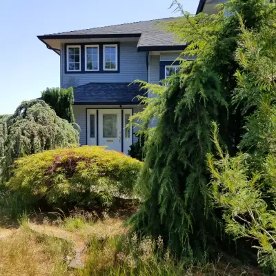 One bedroom, Queen bed, sheets, Cable, WIFI, 130sq ft. Laundry and extras.