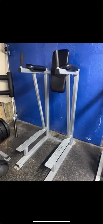Apex Hanging Leg Raise Commercial gym equipment., View more