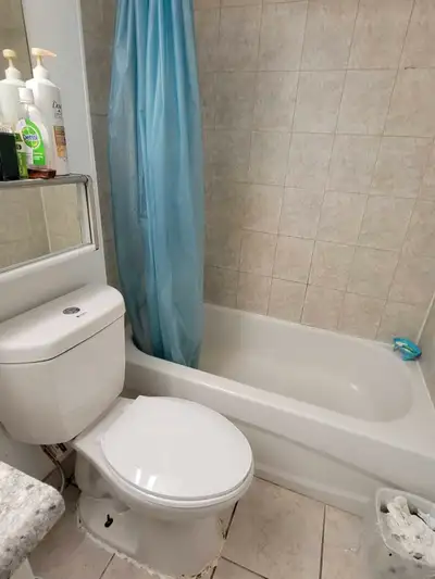 flat for rent