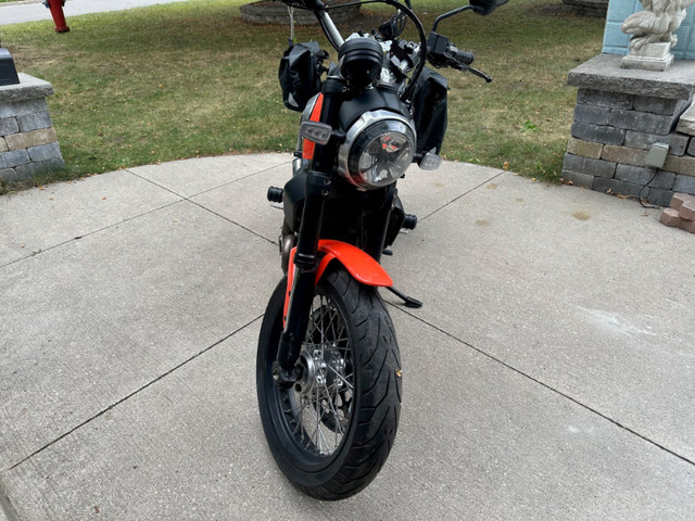 2019 Ducati Scrambler Icon ABS - 803cc in Street, Cruisers & Choppers in Mississauga / Peel Region - Image 3