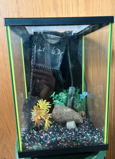 Fish tank with everything , View more