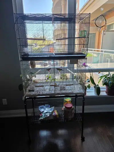 DOUBLE BREEDING CAGE WITH FINCHES , View more