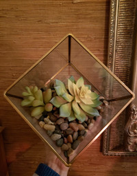 Geometric glass terrarium