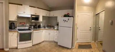 Young adult female roommate wanted for 2 bedroom, 2 4 pc bathroom 4th floor condo. Rent includes all...