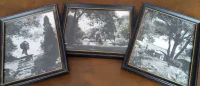 3 Matching Frames,Stratford Shakespearean gardens,Under Glass, View more