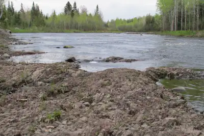 terrain a vendre borné a la riviere , ont peu allé a la peche faire du camping ,, ,se baigné ,, fair...