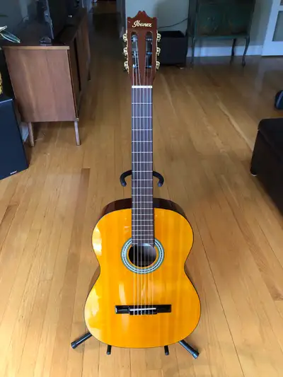 Guitare Ibanez, View more