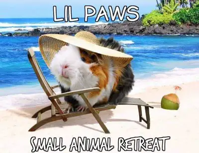 Small Pet Care in the Orchard My teen daughters and I love caring for little critters in our home! W...
