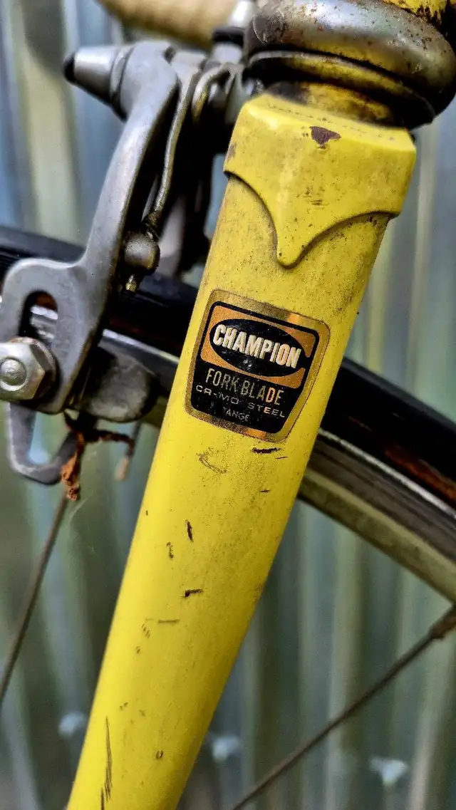 58cm Bertrand Road Bicycle project in Road in Ottawa - Image 11