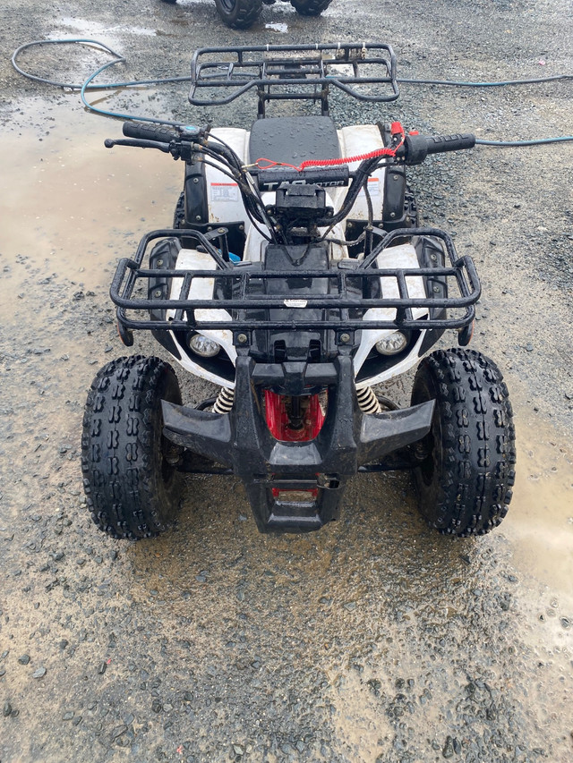 Tao Tao grizzly 110cc in ATVs in Cole Harbour