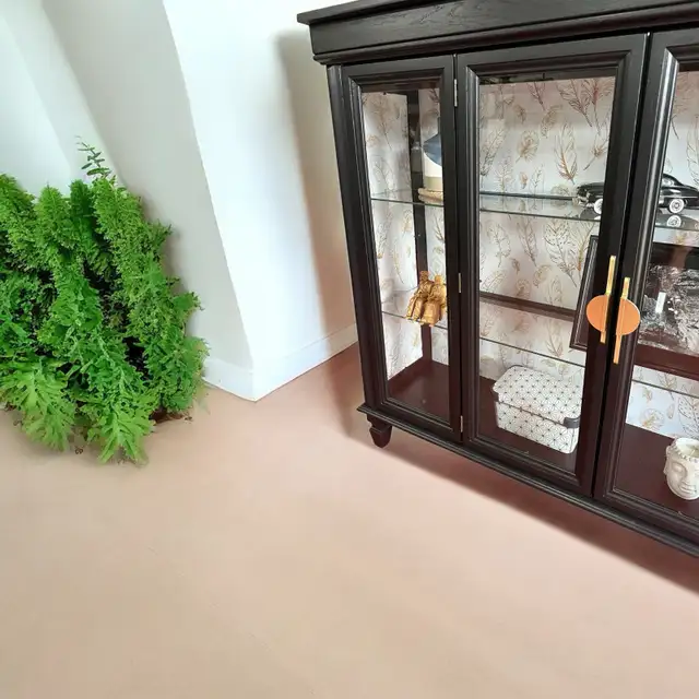 gorgeous display case62863279968131122