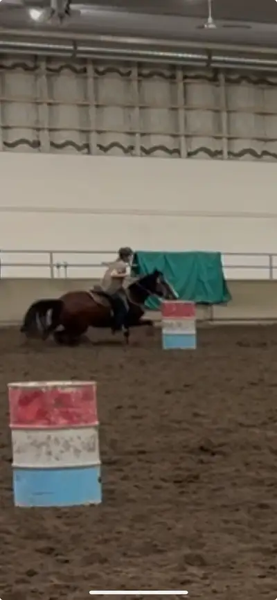 ISO More Experience w/ Horses, View more