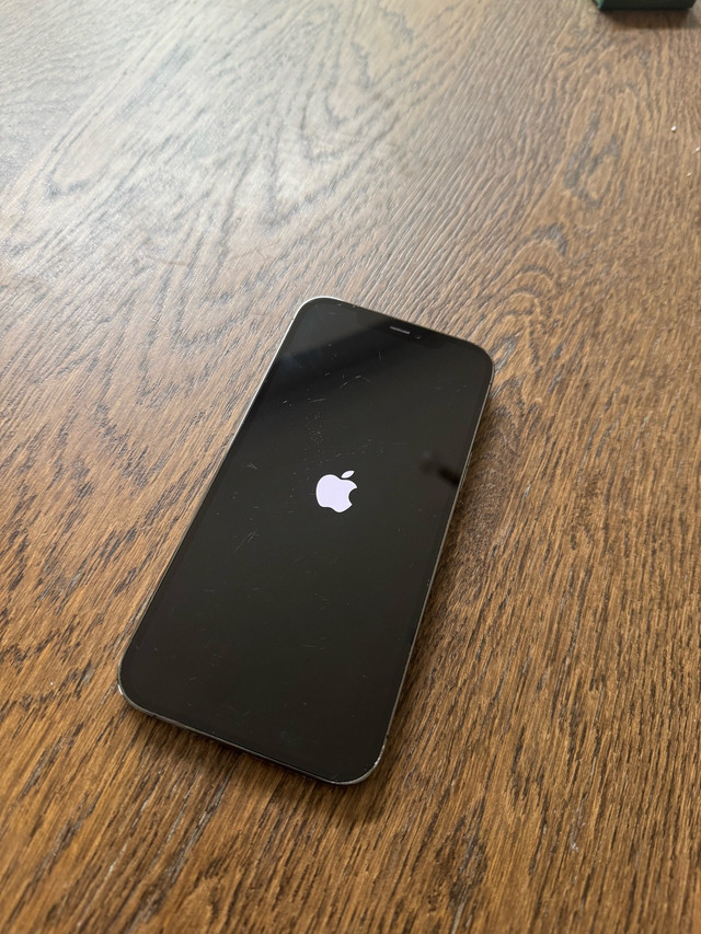 iPhone 12 Pro Max 256g in Cell Phones in Hamilton