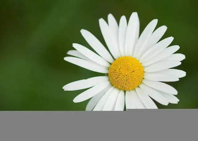 LIVE Interactive Photography Courses (Online)64551245082241123