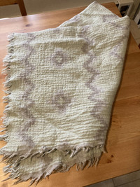 Aritzia Blanket scarf 