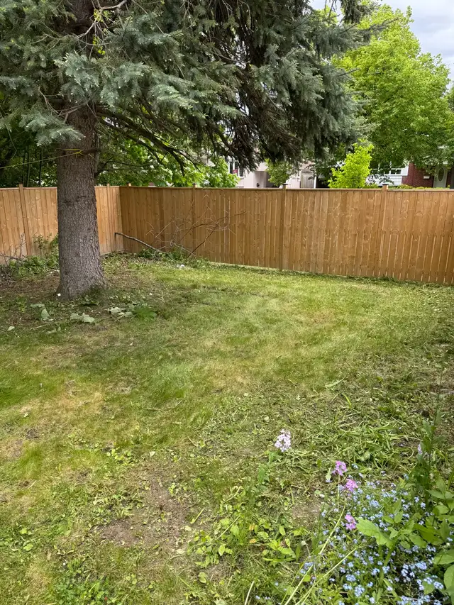 Professional Grass Cutting Service – Only $60 in Lawn, Tree Maintenance & Eavestrough in City of Toronto - Image 6