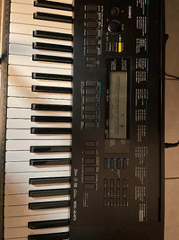 Casio WK-245 keyboard with Stand and Pedal