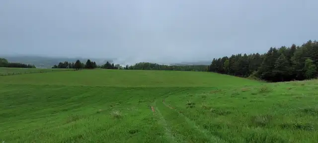 Terre à vendre, à Clermont dans la Région de Charlevoix.