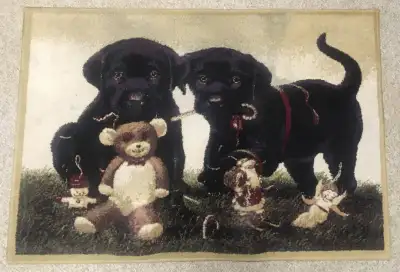 Area Rug  56.5 " wide x 39" tall, View more