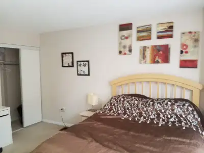 LOOKING FOR A ROOMMATE IN A VERY LARGE HOUSE