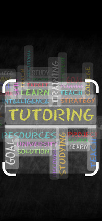  Looking for a responsible tutor