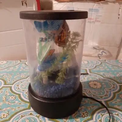 Small aquarium 11 x 6 inches pump works