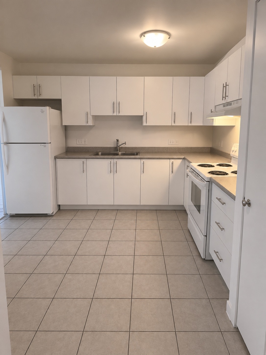 455 Av Racine — photo 3