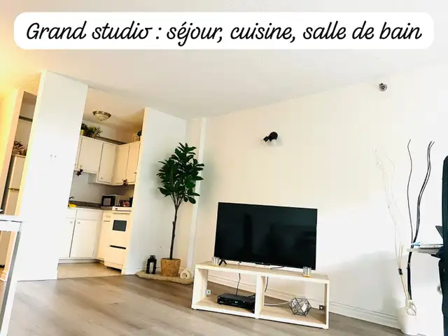 CESSION DE BAIL - GRAND STUDIO 1145$  PROCHE METRO ET REM in Long Term Rentals in City of Montréal - Image 7