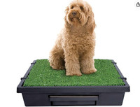 PetSafe Pet Loo Portable Indoor/Outdoor Dog Potty, Medium