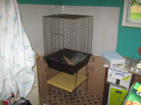 Cage pour cockatiel ou petit perroquet