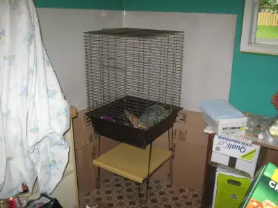Cage à cockatiel 19 par 19 par 28 pouces de haut. Elle a 4 pieds avec la base mais elle peut être mi...