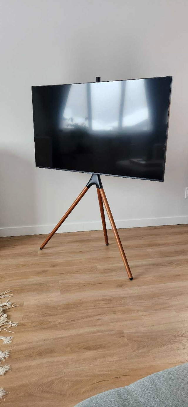 Tripod TV Stand in TV Tables & Entertainment Units in Nelson
