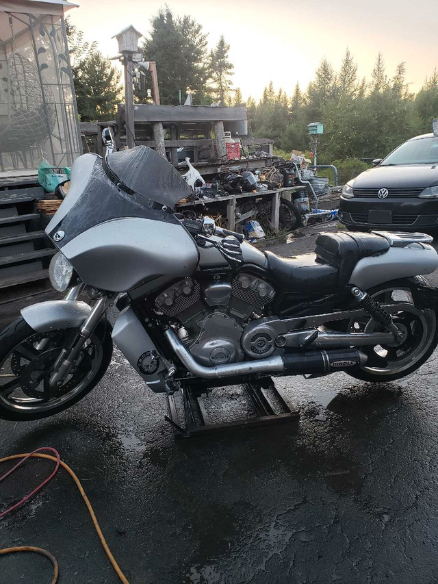 2010 Harley Davidson V ROD Muscle  in Street, Cruisers & Choppers in Moncton - Image 2