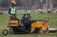 Stump removal west island