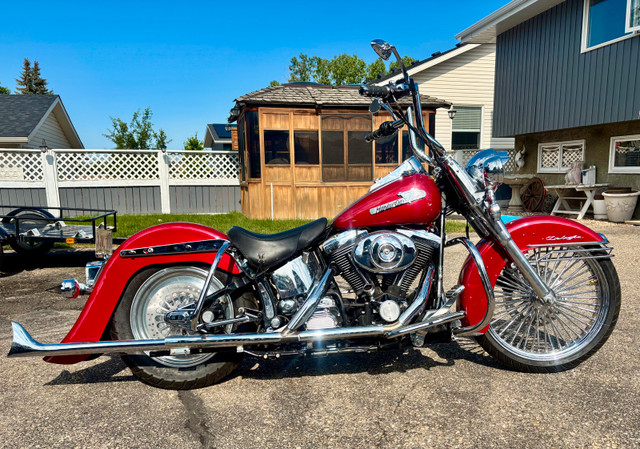  1998 Heritage Softail Cholo / Vicla  in Street, Cruisers & Choppers in Calgary - Image 2